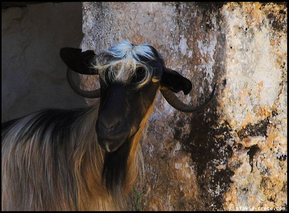 Photo report of a visit to South Crete, May 2007